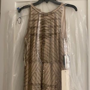 Adrianna Papell Dress- Nude